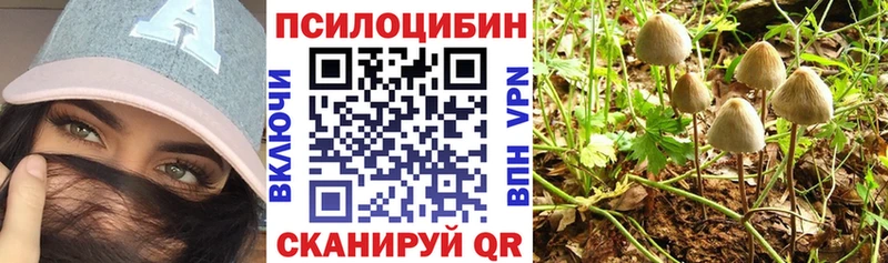 маркетплейс Telegram  Черкесск  Галлюциногенные грибы Psilocybine cubensis 
