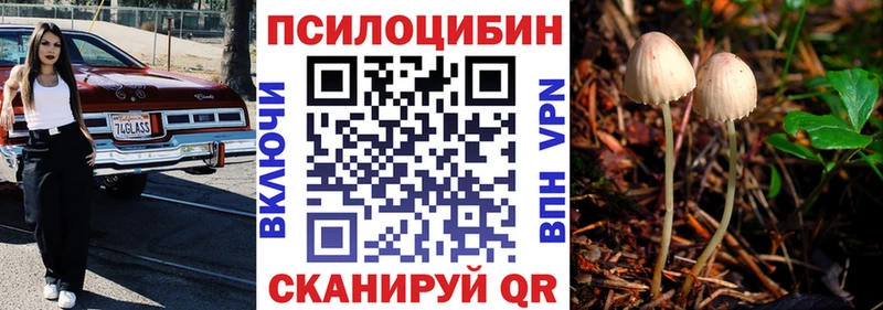 Псилоцибиновые грибы мицелий Черкесск