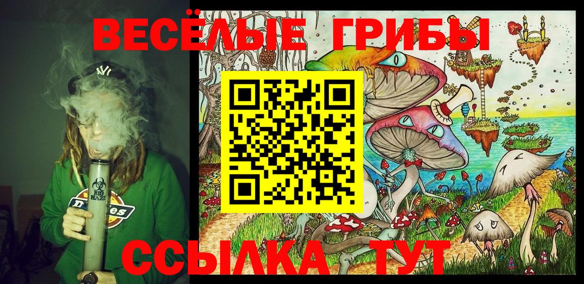 Черкесск  Галлюциногенные грибы мицелий  Вход с VPN  Псилоцибиновые грибы мухоморы 